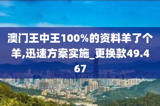 澳门王中王100%的资料羊了个羊,迅速方案实施_更换款49.467