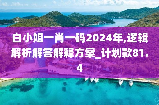 白小姐一肖一码2024年,逻辑解析解答解释方案_计划款81.4