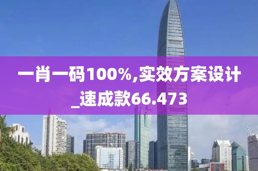 一肖一码100%,实效方案设计_速成款66.473
