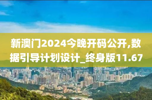 新澳门2024今晚开码公开,数据引导计划设计_终身版11.67