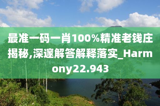 最准一码一肖100%精准老钱庄揭秘,深邃解答解释落实_Harmony22.943
