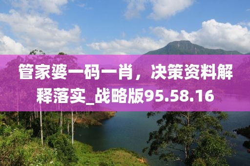 管家婆一码一肖，决策资料解释落实_战略版95.58.16