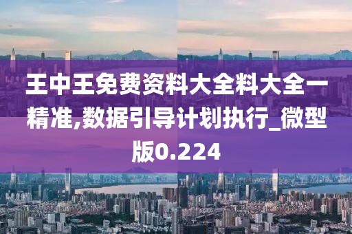 王中王免费资料大全料大全一精准,数据引导计划执行_微型版0.224