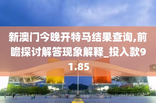 新澳门今晚开特马结果查询,前瞻探讨解答现象解释_投入款91.85