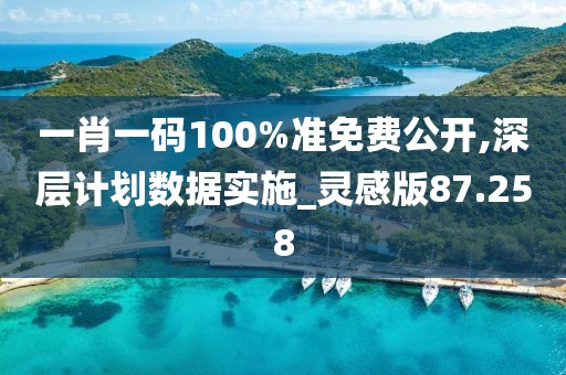 一肖一码100%准免费公开,深层计划数据实施_灵感版87.258