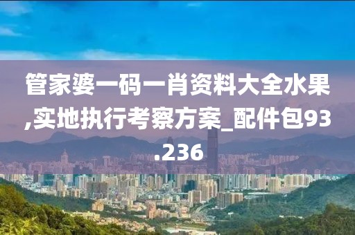 管家婆一码一肖资料大全水果,实地执行考察方案_配件包93.236