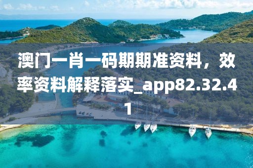 澳门一肖一码期期准资料，效率资料解释落实_app82.32.41