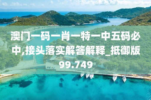澳门一码一肖一特一中五码必中,接头落实解答解释_抵御版99.749