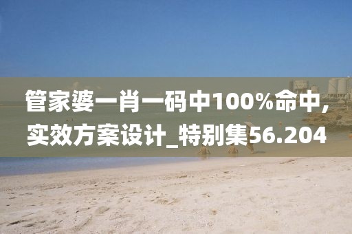 管家婆一肖一码中100%命中,实效方案设计_特别集56.204