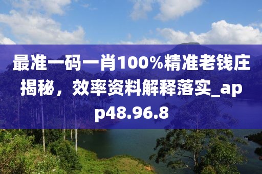 最准一码一肖100%精准老钱庄揭秘，效率资料解释落实_app48.96.8