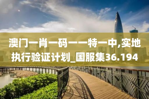 澳门一肖一码一一特一中,实地执行验证计划_国服集36.194