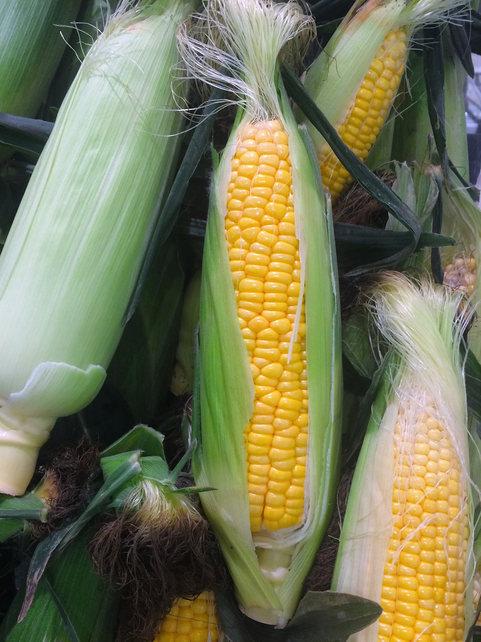 玉米大米膨米棍的热量解析与健康考量，热量与健康平衡的关键探讨
