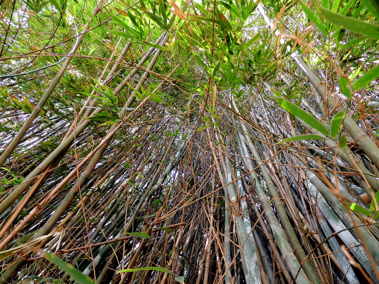盘锦大米价格 第1655页