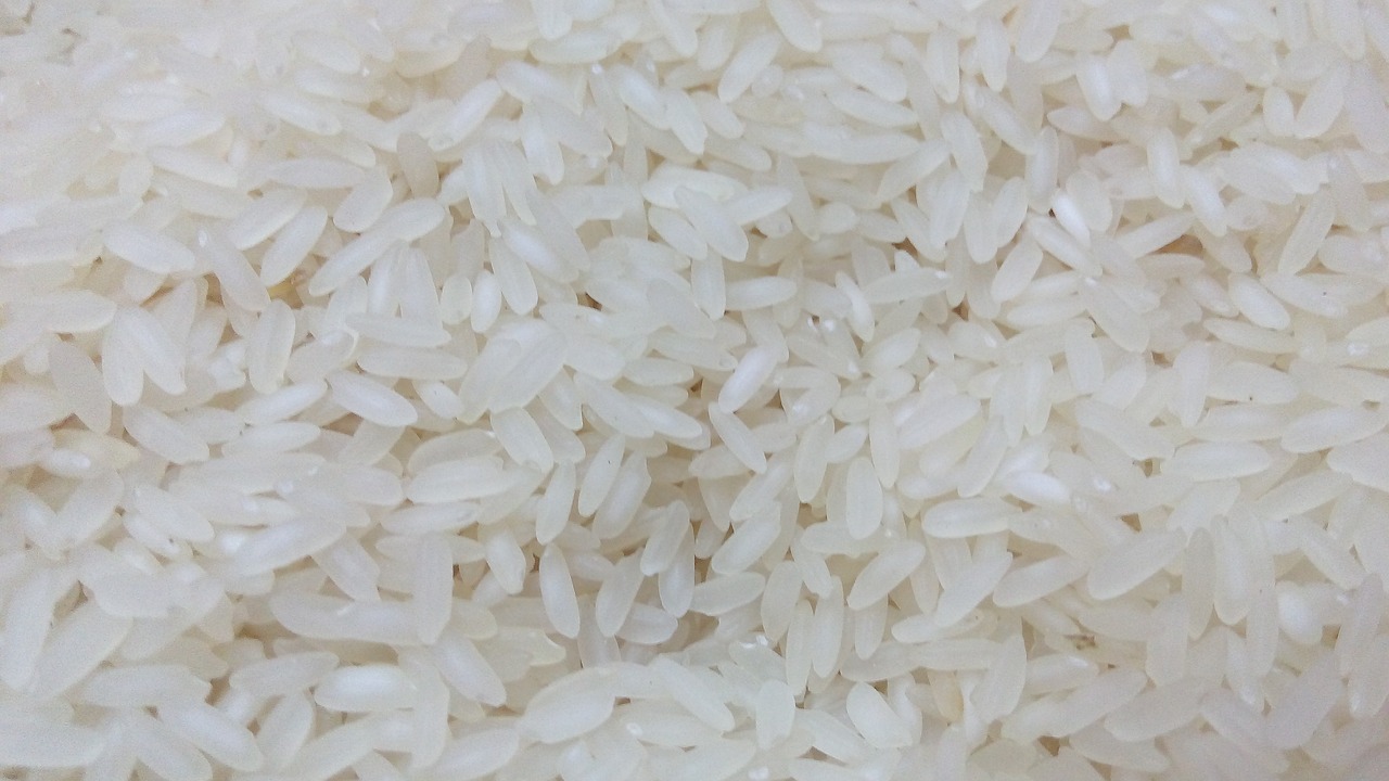 水解大米蛋白，重要营养来源与功能性成分探究
