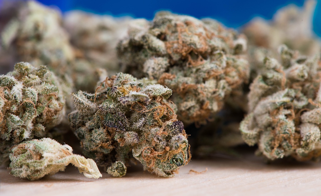 探究稻米生产的真实性与科技应用，制作大米是否真实可行？