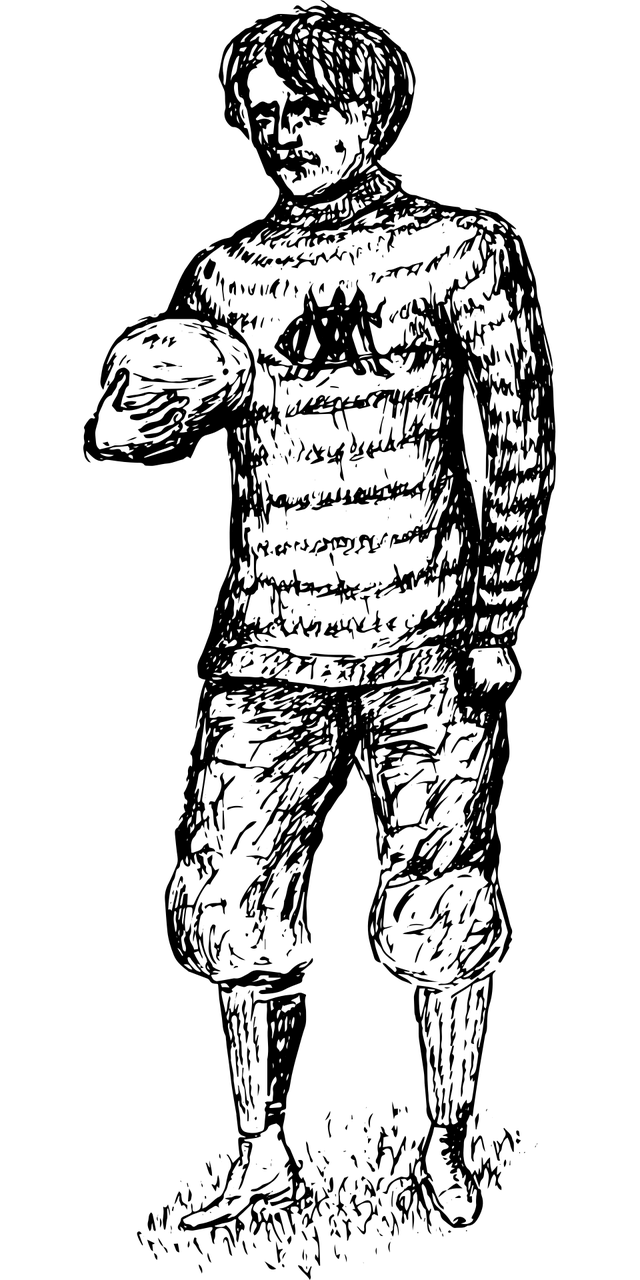 最新中药材价格表概览与动态更新分析