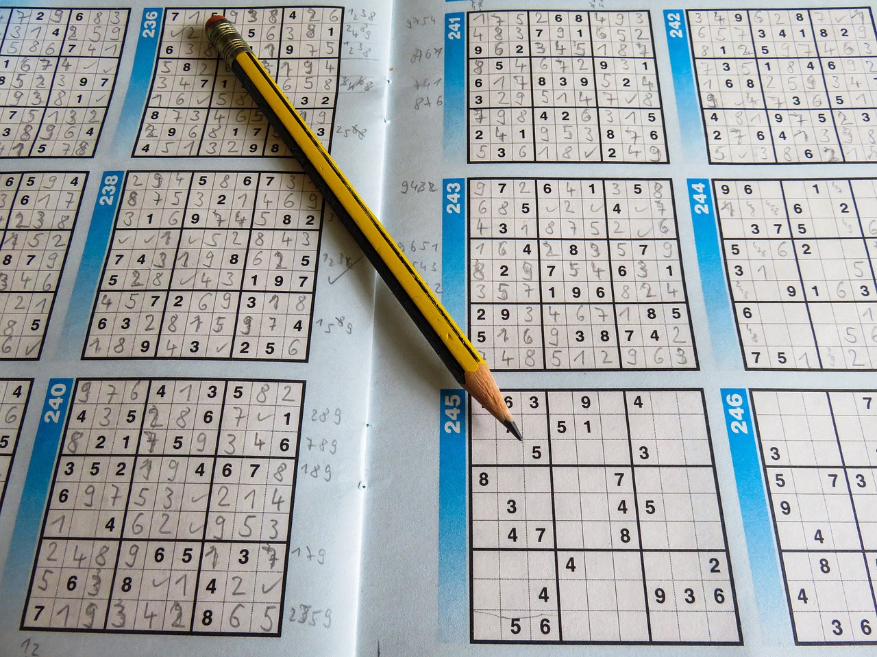 新澳门彩4949历史记录,耐心解释解答落实_薄荷版16.045