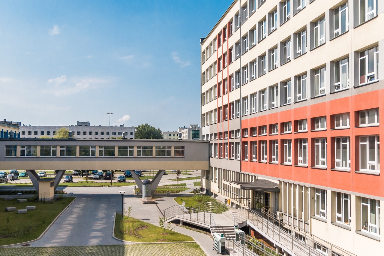 2024新澳门天天开奖攻略_林业工程_复旦大学LHR50.57.24