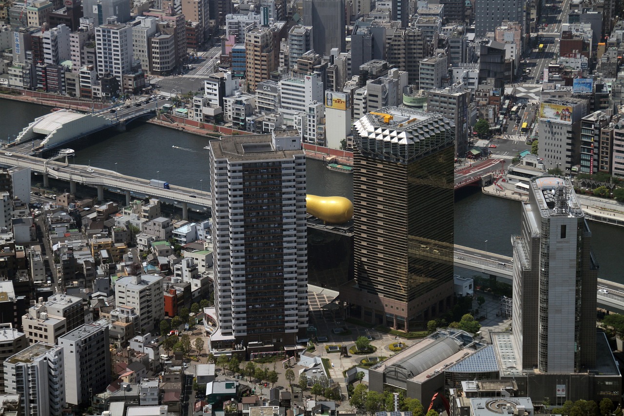 达川区南坝街最新规划，塑造未来城市新面貌蓝图揭晓