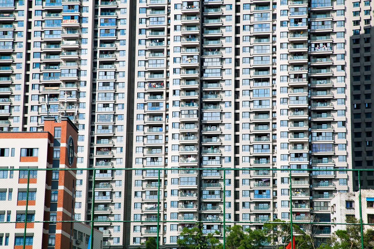 卫念烟 第11页