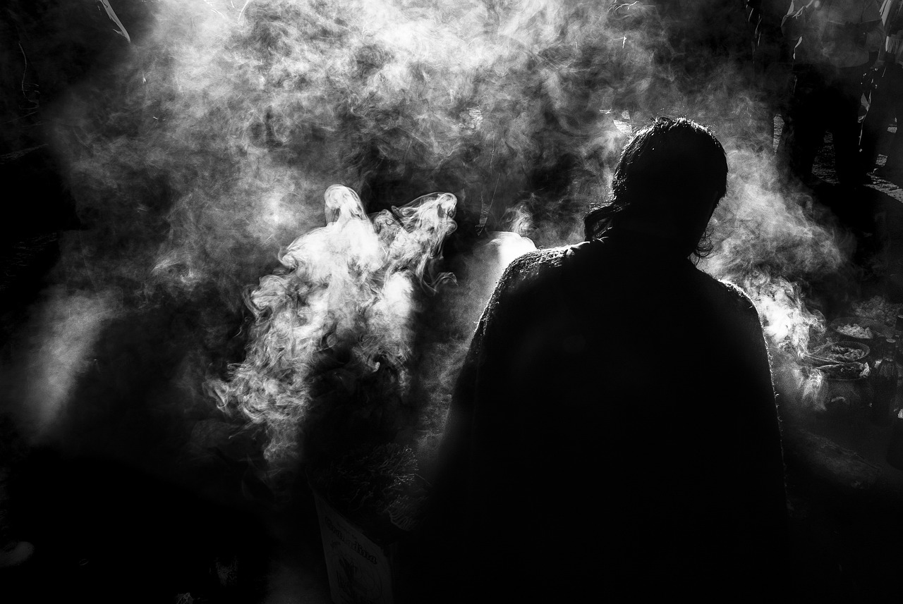 人参养灵芝，探索神秘世界的最新章节