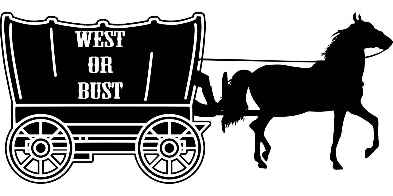 洪榕新动态，探索前沿科技与社会融合之路的先锋力量