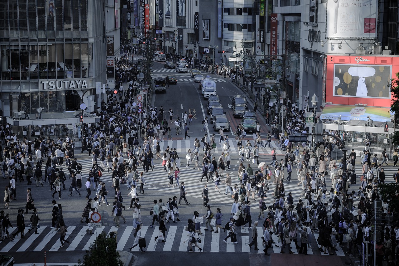 日本电影天堂，探索东方艺术的魅力与深度之旅