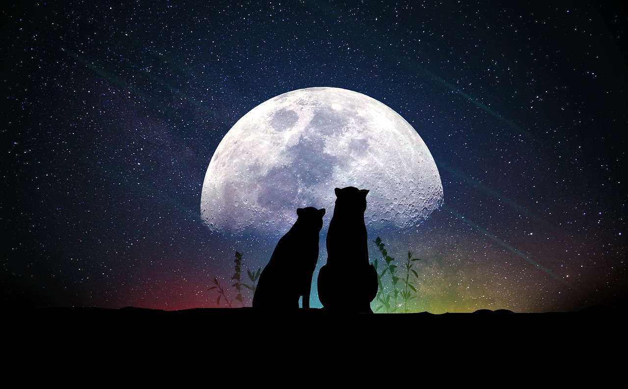 明星湫，探索光芒背后的故事