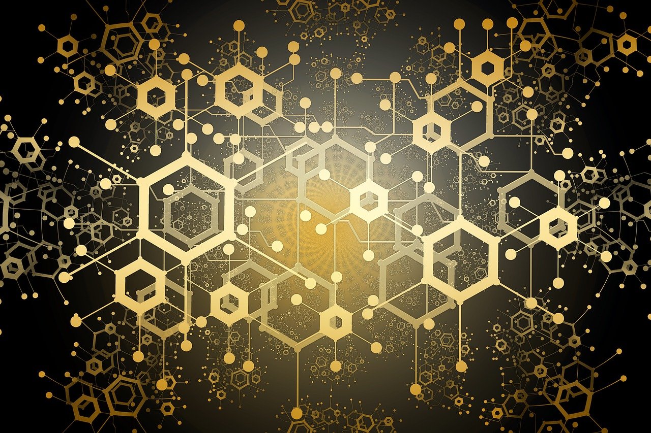 演员一心，专注与执着于艺术之路的探究