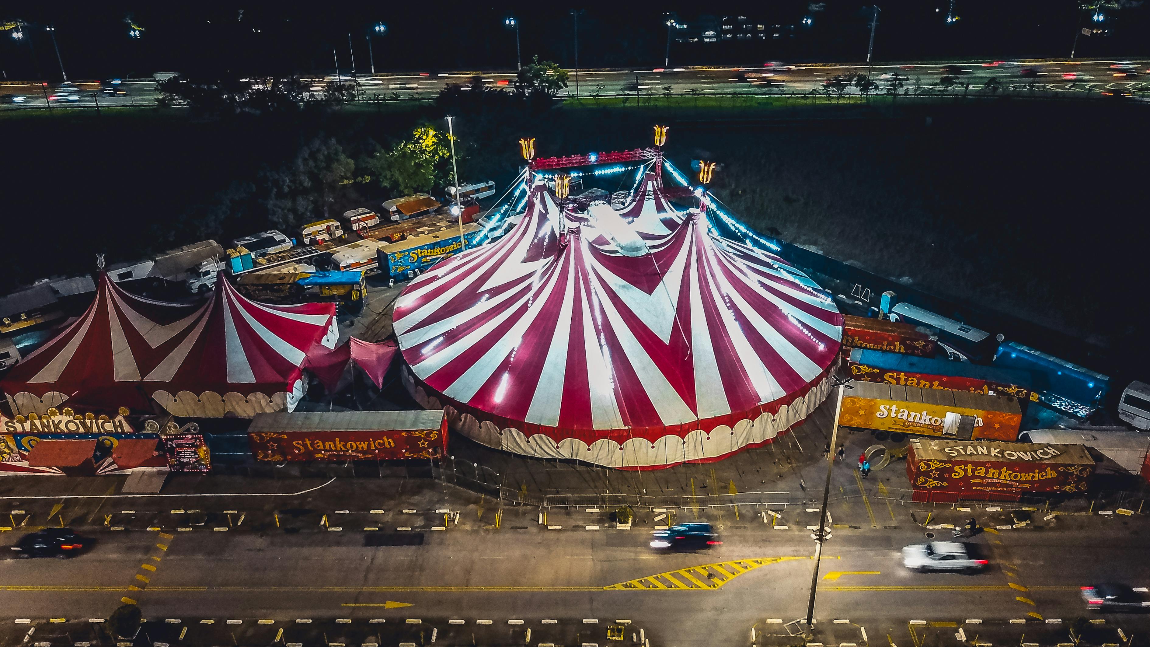 楚紫南 第8页