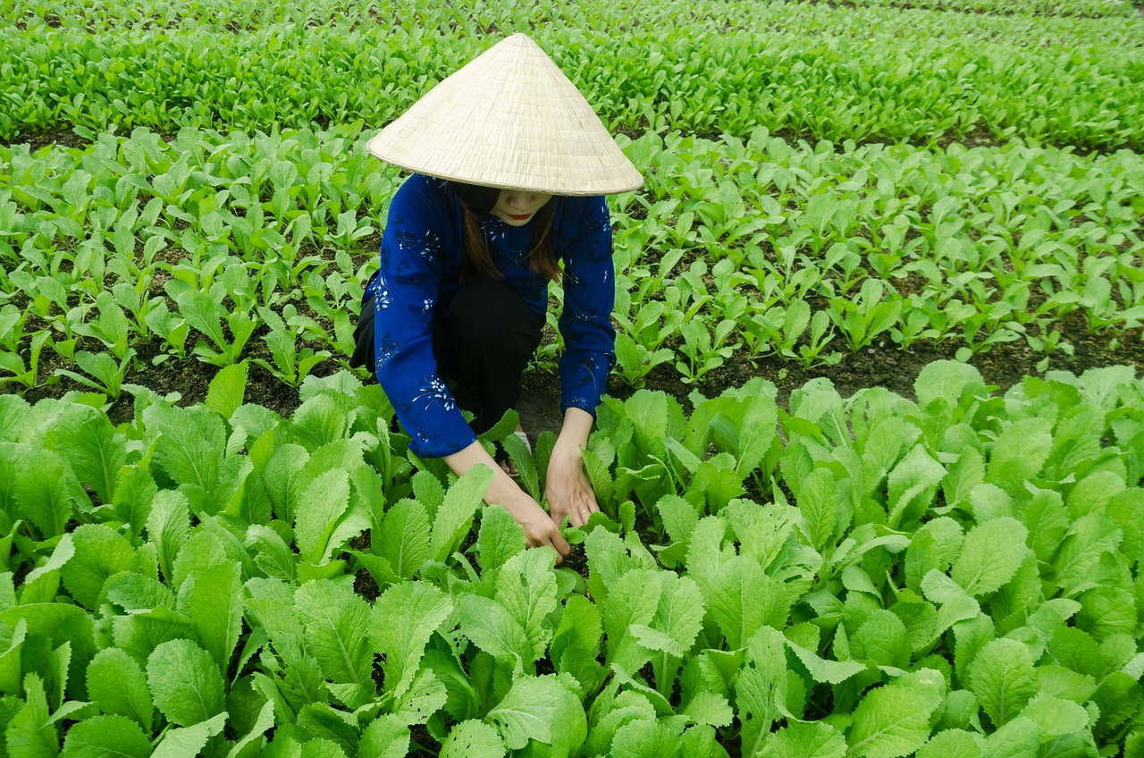 300372最新动态，专业分析文章揭秘其发展趋势