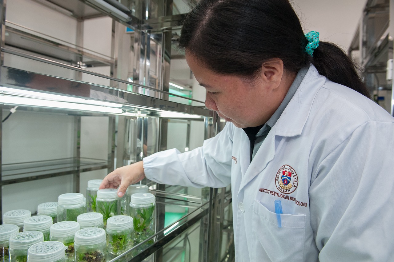 最新免检技术引领质量检测新时代