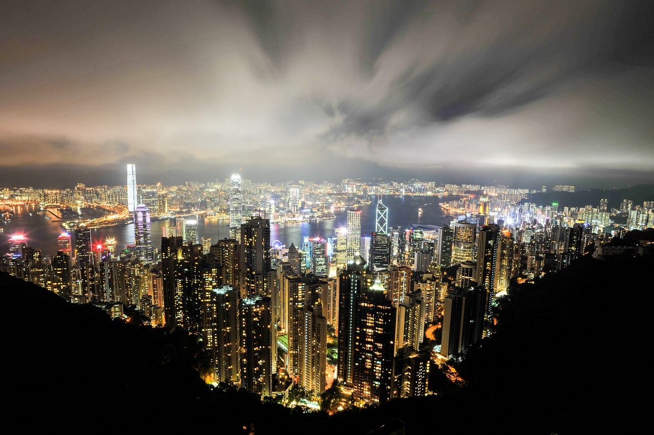 乐亭皮毛市场最新行情及分析概览